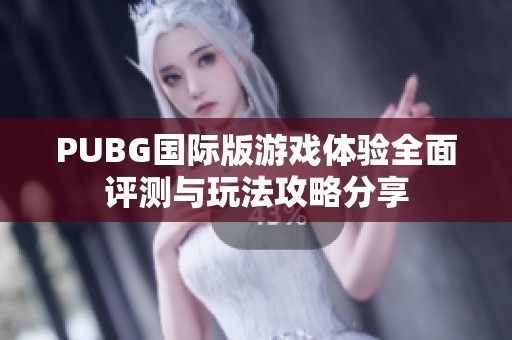 PUBG国际版游戏体验全面评测与玩法攻略分享