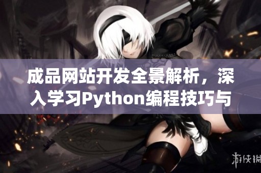 成品网站开发全景解析，深入学习Python编程技巧与应用