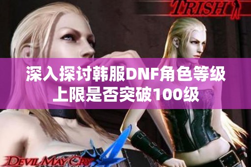 深入探讨韩服DNF角色等级上限是否突破100级