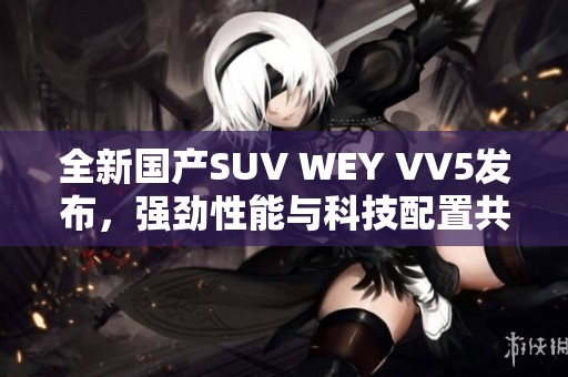 全新国产SUV WEY VV5发布，强劲性能与科技配置共融