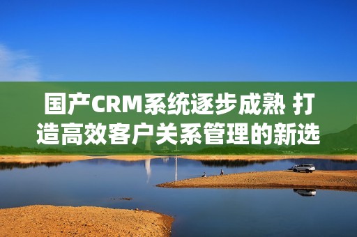 国产CRM系统逐步成熟 打造高效客户关系管理的新选择