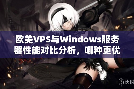 欧美VPS与Windows服务器性能对比分析，哪种更优越