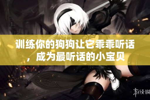 训练你的狗狗让它乖乖听话，成为最听话的小宝贝