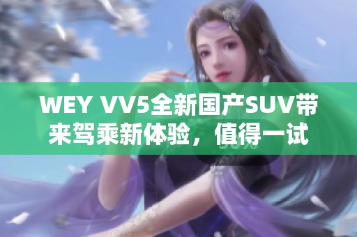 WEY VV5全新国产SUV带来驾乘新体验，值得一试