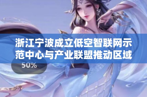浙江宁波成立低空智联网示范中心与产业联盟推动区域发展