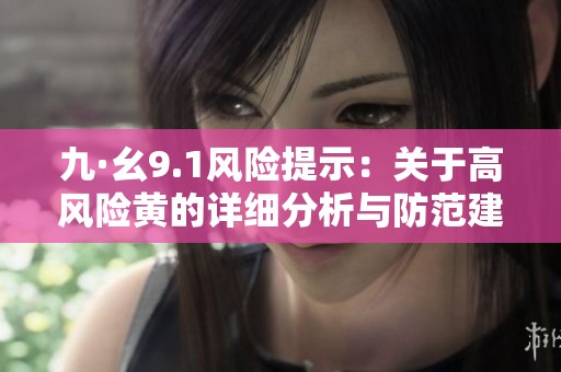 九·幺9.1风险提示：关于高风险黄的详细分析与防范建议