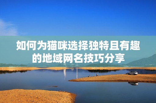 如何为猫咪选择独特且有趣的地域网名技巧分享