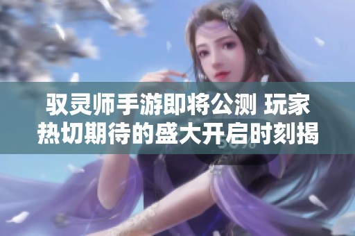 驭灵师手游即将公测 玩家热切期待的盛大开启时刻揭秘