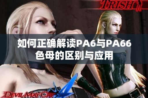 如何正确解读PA6与PA66色母的区别与应用