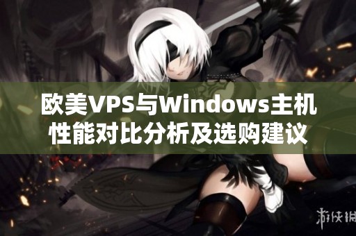 欧美VPS与Windows主机性能对比分析及选购建议