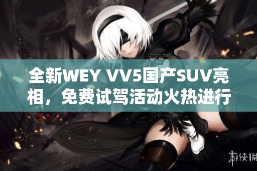 全新WEY VV5国产SUV亮相，免费试驾活动火热进行中