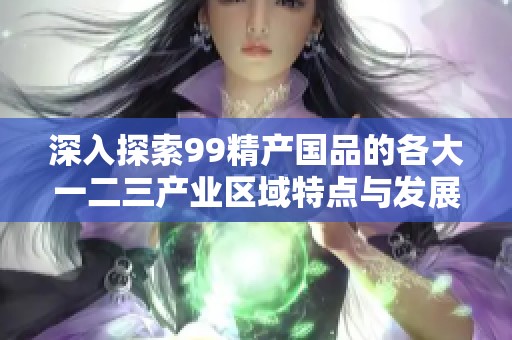 深入探索99精产国品的各大一二三产业区域特点与发展潜力