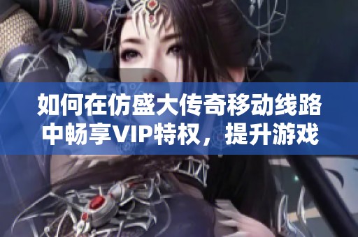 如何在仿盛大传奇移动线路中畅享VIP特权，提升游戏乐趣方法解析