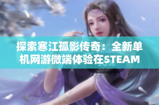 探索寒江孤影传奇：全新单机网游微端体验在STEAM上线