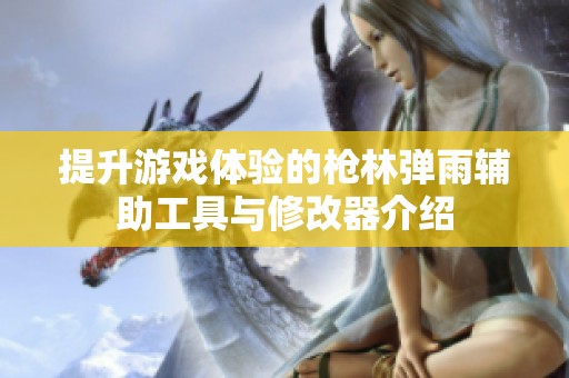 提升游戏体验的枪林弹雨辅助工具与修改器介绍
