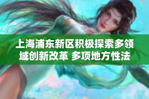 上海浦东新区积极探索多领域创新改革 多项地方性法规获得表决通过