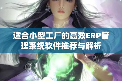 适合小型工厂的高效ERP管理系统软件推荐与解析