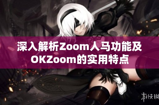 深入解析Zoom人马功能及OKZoom的实用特点