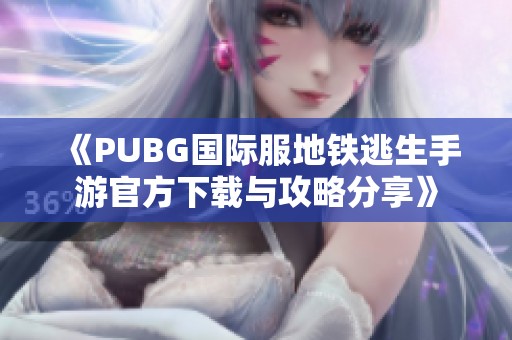 《PUBG国际服地铁逃生手游官方下载与攻略分享》