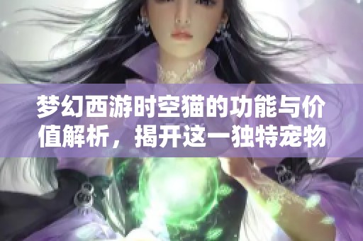 梦幻西游时空猫的功能与价值解析，揭开这一独特宠物的游戏秘密