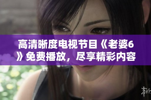 高清晰度电视节目《老婆6》免费播放，尽享精彩内容