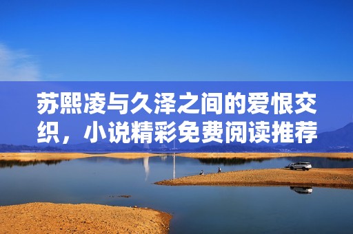 苏熙凌与久泽之间的爱恨交织，小说精彩免费阅读推荐