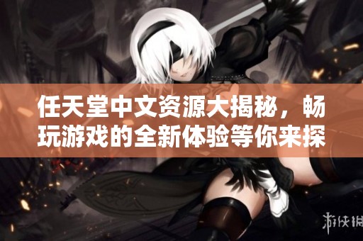 任天堂中文资源大揭秘，畅玩游戏的全新体验等你来探索