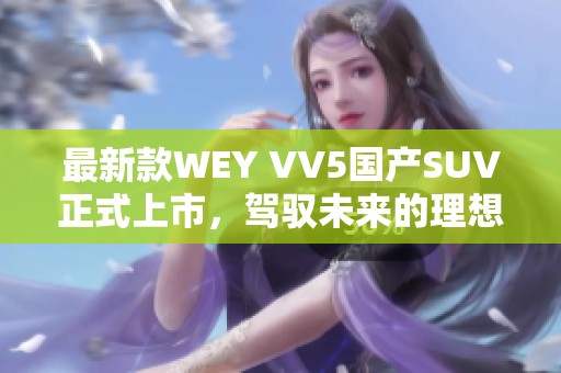 最新款WEY VV5国产SUV正式上市，驾驭未来的理想选择