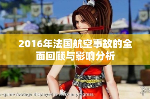 2016年法国航空事故的全面回顾与影响分析