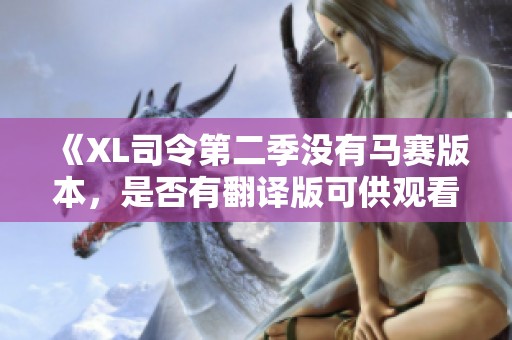 《XL司令第二季没有马赛版本，是否有翻译版可供观看》