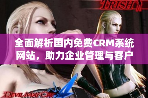 全面解析国内免费CRM系统网站，助力企业管理与客户关系优化