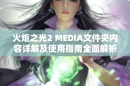 火炬之光2 MEDIA文件夹内容详解及使用指南全面解析