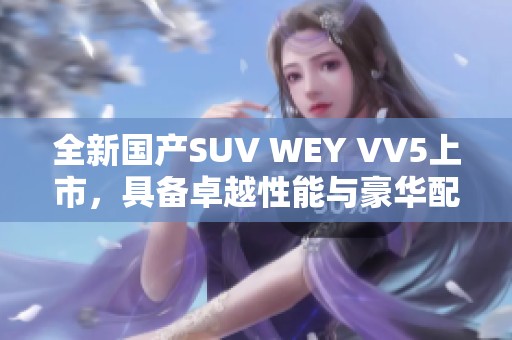 全新国产SUV WEY VV5上市，具备卓越性能与豪华配置