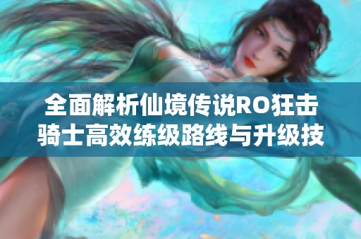 全面解析仙境传说RO狂击骑士高效练级路线与升级技巧