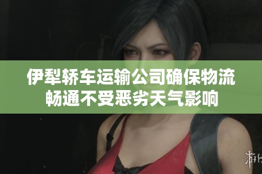 伊犁轿车运输公司确保物流畅通不受恶劣天气影响