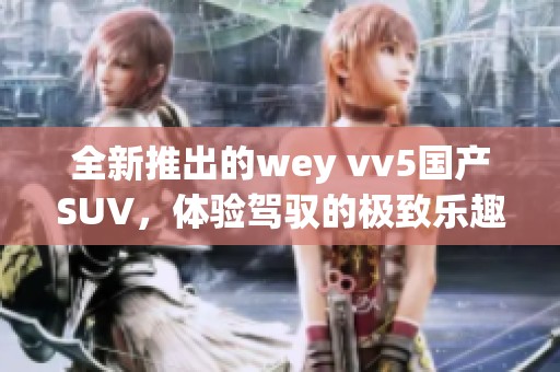 全新推出的wey vv5国产SUV，体验驾驭的极致乐趣