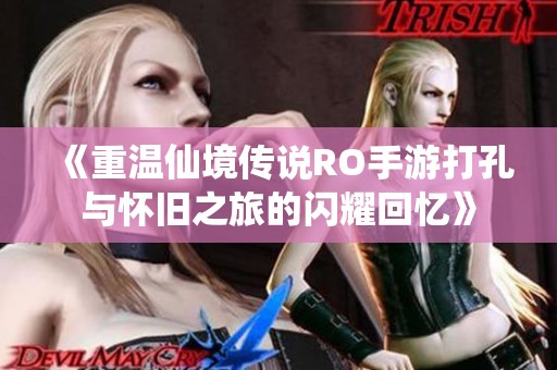 《重温仙境传说RO手游打孔与怀旧之旅的闪耀回忆》
