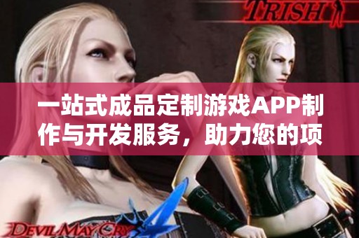 一站式成品定制游戏APP制作与开发服务，助力您的项目成功