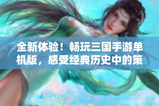 全新体验！畅玩三国手游单机版，感受经典历史中的策略魅力