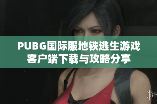 PUBG国际服地铁逃生游戏客户端下载与攻略分享