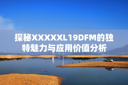 探秘XXXXXL19DFM的独特魅力与应用价值分析