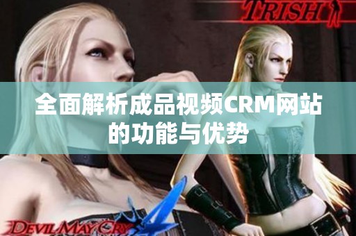 全面解析成品视频CRM网站的功能与优势