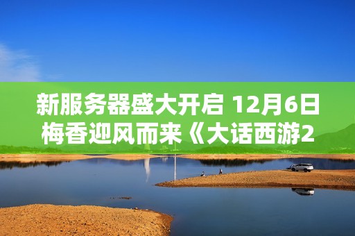 新服务器盛大开启 12月6日梅香迎风而来《大话西游2经典版》