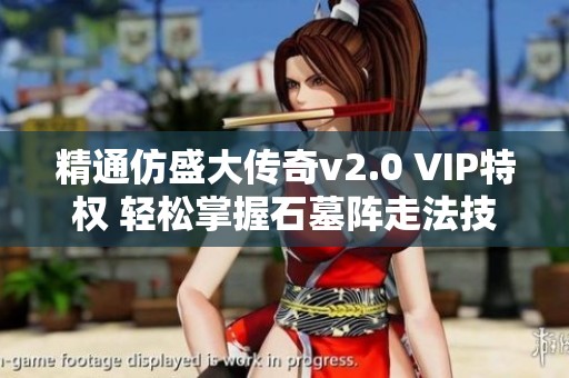 精通仿盛大传奇v2.0 VIP特权 轻松掌握石墓阵走法技巧