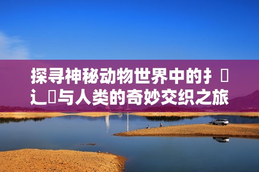 探寻神秘动物世界中的扌喿辶畐与人类的奇妙交织之旅