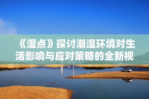 《湿点》探讨潮湿环境对生活影响与应对策略的全新视角与思考