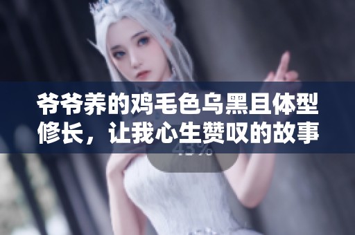 爷爷养的鸡毛色乌黑且体型修长，让我心生赞叹的故事