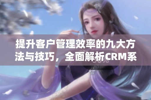 提升客户管理效率的九大方法与技巧，全面解析CRM系统的最佳实践