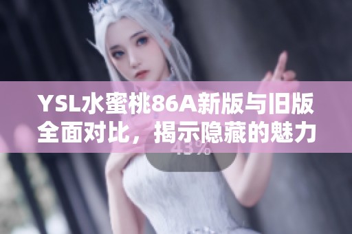 YSL水蜜桃86A新版与旧版全面对比，揭示隐藏的魅力与差异分析